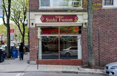 Yoshino Asian Fusion, Mount Vernon