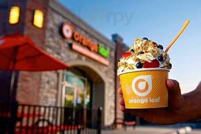 Orange Leaf Frozen Yogurt