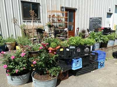 Back Porch Larder, Edgartown