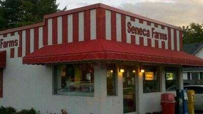 Seneca Farms Ice Cream, Penn Yan