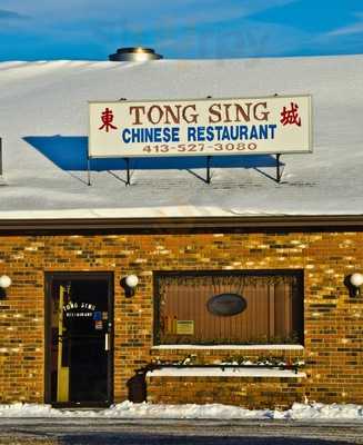 Tong Sing Chinese Restaurant menu