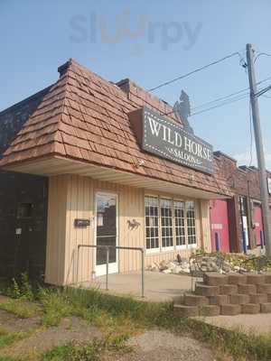 Wild Horse Saloon