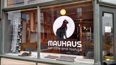 Mauhaus Cat Cafe & Lounge, Maplewood