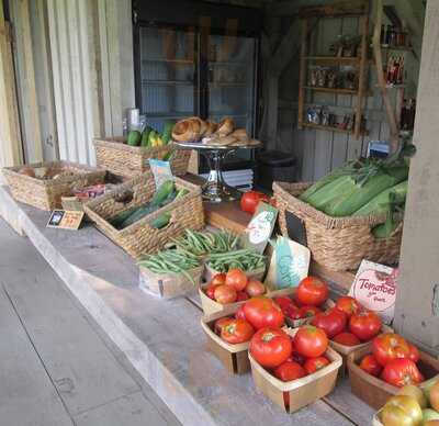 Bear Creek Farm