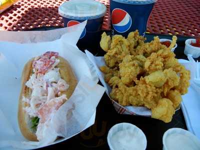 Sea Basket