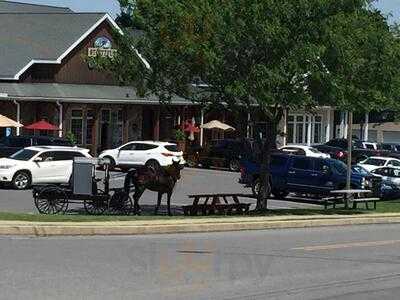 Stoltzfus Meats