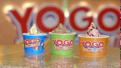 Yogo Factory Haddon Township, Westmont