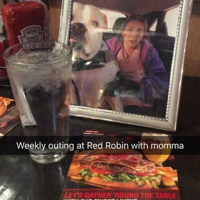 Red Robin Gourment Burgers