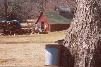 Hanging Mountain Farms