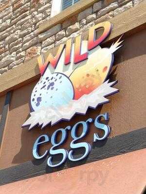 Wild Eggs