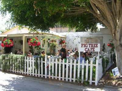 Fig Tree Cafe