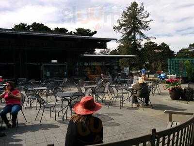 The Pine Tree Cafe, Bronx