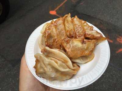 Fried Dumpling