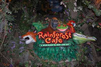 Rainforest Cafe