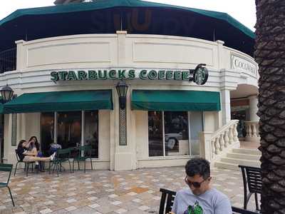 Starbucks, Miami