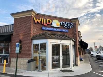 Wild Eggs, Cincinnati