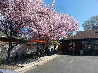 Red Moose Roasting, Salt Lake City