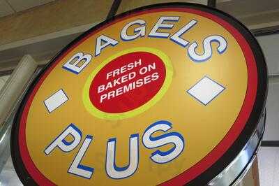 Bagels Plus, Tampa