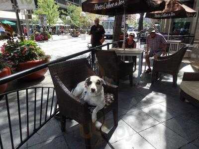 Peets Coffee, Denver