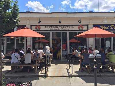 El Pelon Taqueria, Boston