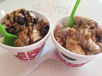 Sweet Frog Premium Frozen Yogurt, Jacksonville