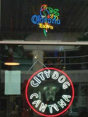 City Dog Cantina, Tampa