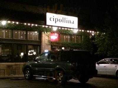 Cipollina, Austin