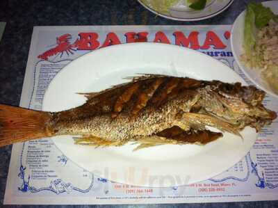 Bahamas Fish Market