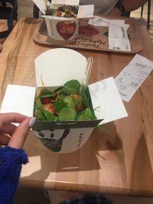 Salad Box