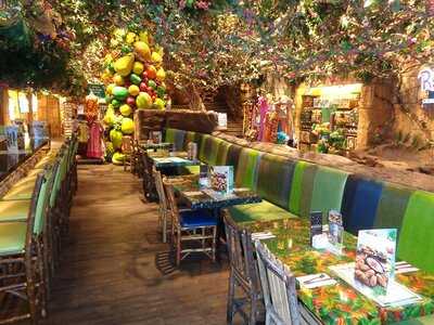 Rainforest Cafe, Las Vegas