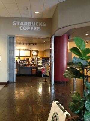 Starbucks, New Orleans