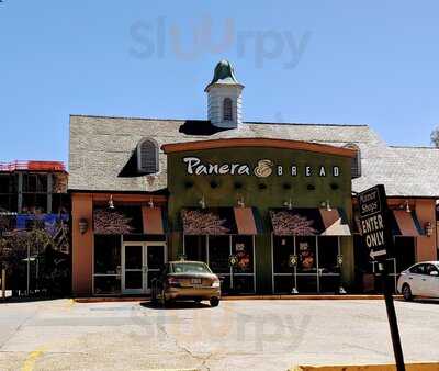 Panera Bread, Charlotte