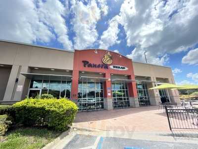 Panera Bread, Tampa