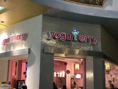 Yogurberry, Miami