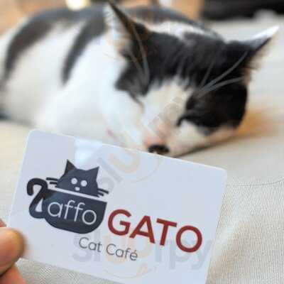 Affogato Cat Cafe