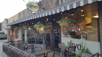 Ulivo Restaurant