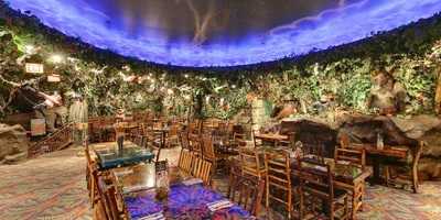 Rainforest Cafe, Chicago