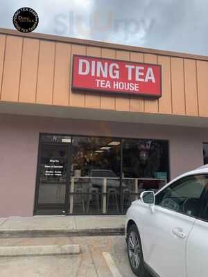 Got Tea?, Tampa