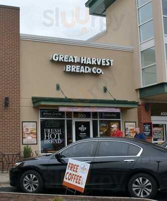 Great Harvest Bread, Charlotte