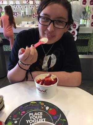 Yogurtland