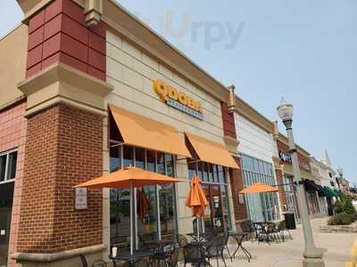 Qdoba Mexican Grill