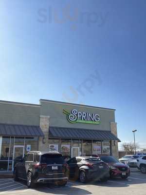 Spring Chinese Cuisine and Pho, San Antonio