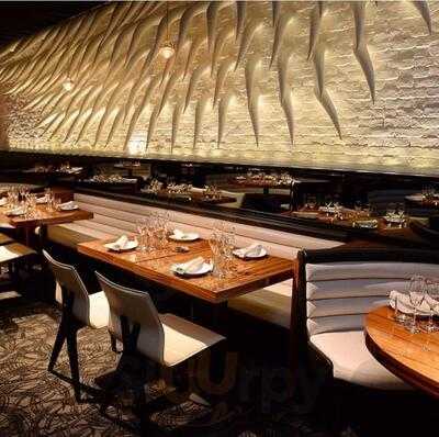 STK Steakhouse, Los Angeles