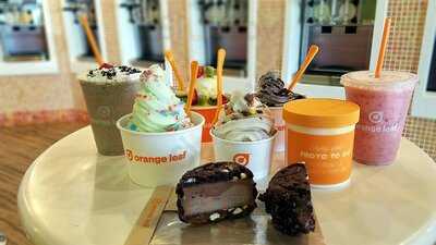 Orange Leaf Frozen Yogurt, Austin