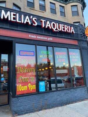 Amelia's Taqueria, Boston