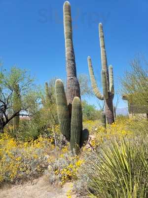 The Coffee Loft, Tucson