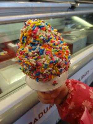 Carvel, Brooklyn