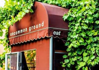 Uncommon Ground