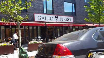 Gallo Nero Wine Bar And Grill