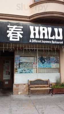 Halu, San Francisco